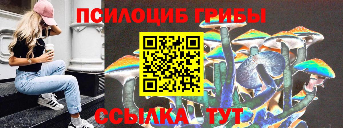 Галлюциногенные грибы прущие грибы Малгобек