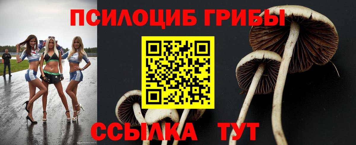 Псилоцибиновые грибы прущие грибы  Вход с VPN  Малгобек 